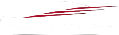 ESES MOTORS